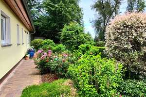NEUER PREIS |TOP Einfamilienhaus INKLUSIVE 1474m² Traumgrundstück + Whirlpool + Kamin + Saunahaus – Oberhavel (Kreis) – Vorschaubild 12