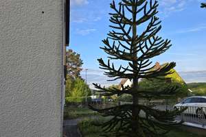 Zweifamilienhaus mit wunderschönem Garten, Doppelgarage und großem bebaubarem Grundstück – Die vollständige Adresse der Immobilie erhältst du vom Anbieter., 65817 Eppstein – Vorschaubild 5