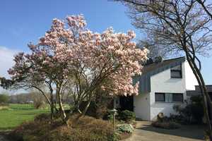 Naturnahes wohnen in einem stilvollen Einfamilienhaus mit Pool in Grefrath – Viersen (Kreis) – Vorschaubild 3