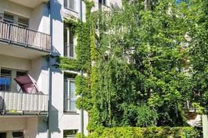 ***Hübsche kleine 1- Raum Wohnung sucht Kapitalanleger !TOP Preis! vermietet*** – Glockenstraße 8, 9130 Sonnenberg, Chemnitz – Vorschaubild 7