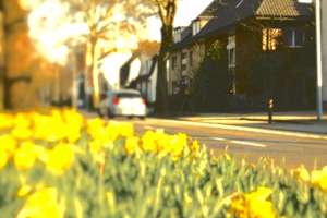 Property thumbnail 2