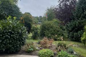 Doppelhaushälfte mit Terrasse und Blick ins Grüne – 23568 Schlutup, Lübeck – Vorschaubild 5