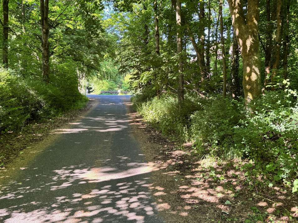 Haltern Neu 25 Zufahrt zum ...