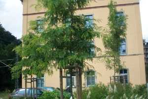 Sie haben Geschmack? Dann haben wir ein tolles Loft für Sie! – Tharandter Straße 105, 1187 Dresden – Vorschaubild 10