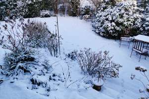 Property thumbnail 97