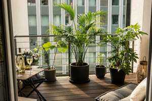Stilvoller 115 m²-Altbau mit Stuck, Flügeltür & großem Balkon | Friedrichstadt | provisionsfrei – Talstr 55, 40217 Friedrichstadt, Düsseldorf – Vorschaubild 5