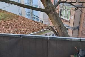 Einladende Wohnung in Stuttgart-Ost - 3-Zimmer Wohnung mit Balkon – Die vollständige Adresse der Immobilie erhältst du vom Anbieter., 70184 Gablenberg, Stuttgart – Vorschaubild 17