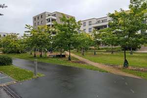 4-Zimmer-Wohnung in Dresden Striesen