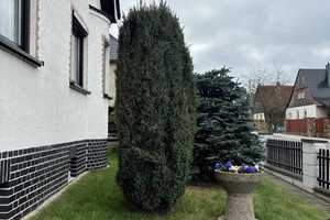 Oase der Ruhe: Charmantes Einfamilienhaus mit parkähnlichem Grundstück, Garage und Pool! – Leipzig (Kreis) – Vorschaubild 2