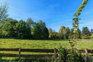Zwangsversteigerung Lindlar: großes EFH mit Ausbaupotenzial in ruhiger Ortsrandlage – Mühlenweg 11-13, 51789 Lindlar – Vorschaubild 34