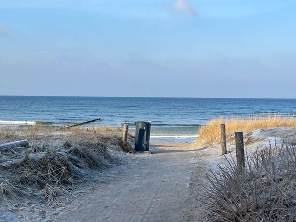 Immobilie in Insel Poel - Top Investment auf der Insel Poel, 4 Ferienhäuser - Bild 1