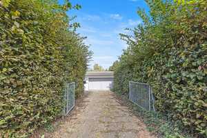Geräumiges Zwei-Familien-Haus mit großem Garten in ruhiger Toplage in Rodenbach! – Main-Kinzig-Kreis – Vorschaubild 32