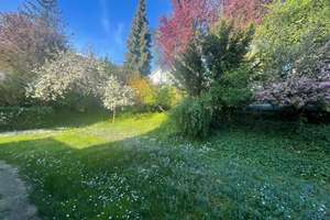 Dreifamilienhaus mit großem Gartengrundstück in begehrter Wohnlage  von Wiesloch zu verkaufen! – Lieselottestraße 9, 69168 Wiesloch – Vorschaubild 9