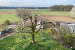 Eigentümergepflegtes EFH mit herrlichem Gartengrundstück und zweitem Bauplatz in der Gemeinde Saal – Kelheim (Kreis) – Vorschaubild 23