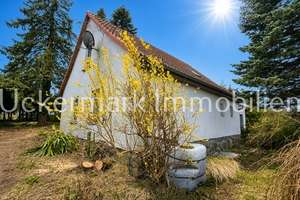 Ferien -/ Wohnhaus und ganz viel Grundstück im Neustrelitzer Kleinseenland, für kreative Köpfe und H – Die vollständige Adresse der Immobilie erhältst du vom Anbieter., 17237 Blankensee – Vorschaubild 4