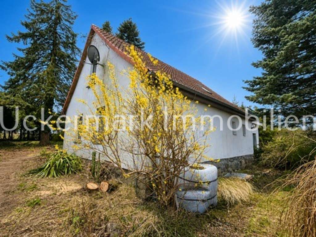 Immobilie in Blankensee - Ferien -/ Wohnhaus und ganz viel Grundstück im Neustrelitzer Kleinseenland, für kreative Köpfe und H - Bild 3