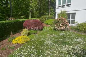 Exklusive sanierte Villa auf 480 m²: Luxus, Komfort und Stil in bester Lage – Pirmasens – Vorschaubild 50