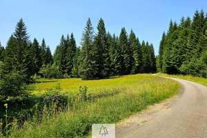 Einzigartiges Naturjuwel in den Allgäuer Alpen – anerkannte Alpe mit Wald- und Weideflächen – Die vollständige Adresse der Immobilie erhältst du vom Anbieter., 87538 Balderschwang – Vorschaubild 3