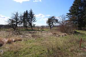 Geschützter Vierseithof mit mehreren Nebengebäuden und weitläufigem Garten – Klosterwalder Dorfstraße 40, 17268 Templin – Vorschaubild 15