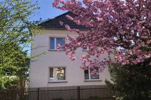 Sehr schönes freistehendes Einfamilienhaus/ Stadtvilla in beliebter Wohnlage mit Garten+ Garage – Immischstraße 1, 99510 Apolda – Vorschaubild 2