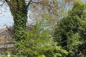 Siegen Eiserfeld, 2-ZKB- Garten Anteil Wohnung, ohne Balkon, nur an Selbstzahler. – Die vollständige Adresse der Immobilie erhältst du vom Anbieter., 57080 Eiserfeld, Siegen – Vorschaubild 7