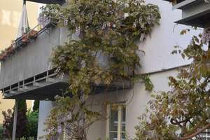 Großzügige 6-Zimmer-Wohnung in einem Gründerzeithaus in der Ludwigsvorstadt – Die vollständige Adresse der Immobilie erhältst du vom Anbieter., 80336 Sankt Paul, München – Vorschaubild 27