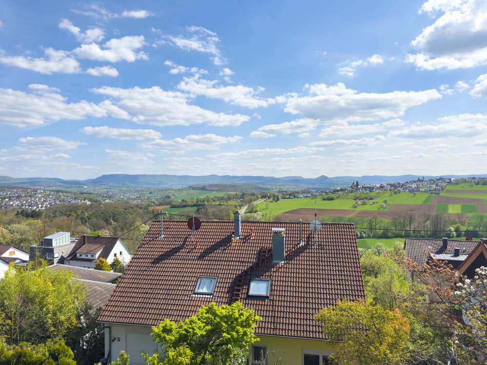 Ausblick