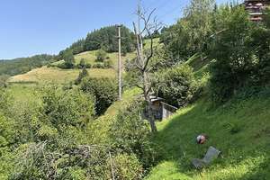 Wohnhaus mit vielseitig nutzbarem Anbau und Blick zum Belchen – Die vollständige Adresse der Immobilie erhältst du vom Anbieter., 79692 Elbenschwand – Vorschaubild 32