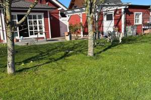 Charmanter Holzbungalow auf Eckgrundstück – Die vollständige Adresse der Immobilie erhältst du vom Anbieter., 25832 Tönning – Vorschaubild 12