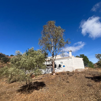 Immobilien zum Verkauf in Almogía