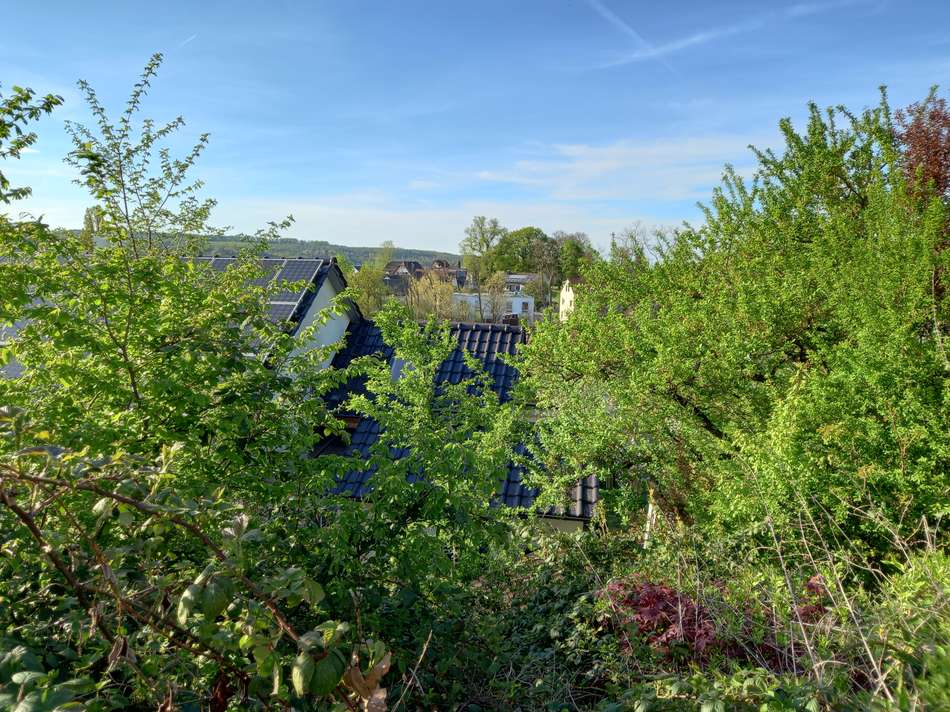 Blick ins Grüne