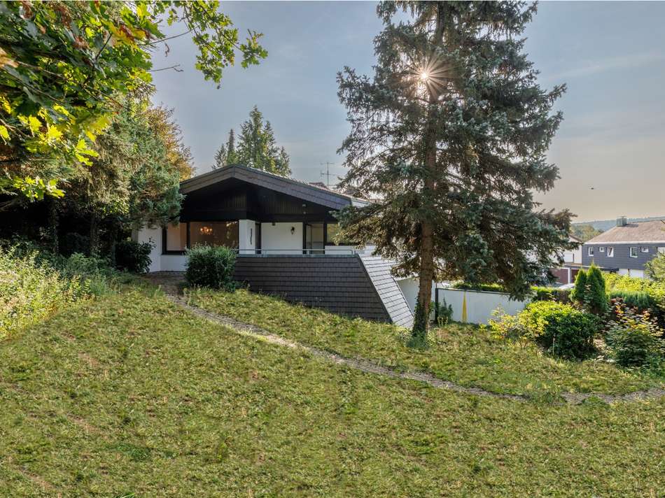 Blick aus dem Garten