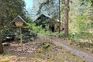 Draußen im Walde... idyllisch gelegenes Holzhaus auf 3.549 m² Waldgrundstück – Uelzen (Kreis) – Vorschaubild 20
