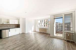 Bezugsfreie renovierte Einzimmerwohnung – 79108 Zähringen, Freiburg im Breisgau – Vorschaubild 3