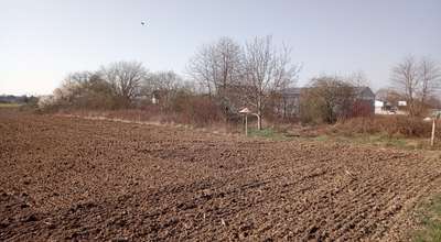 Landwirtschaftliche Fläche in Römerberg-Berghausen