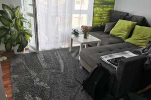 Gepflegte 1-Zimmer-Wohnung mit EBK, Balkon und TG-Stellplatz in Wiesbaden – Norderneyer Straße 7, 65199 Dotzheim, Wiesbaden – Vorschaubild 11