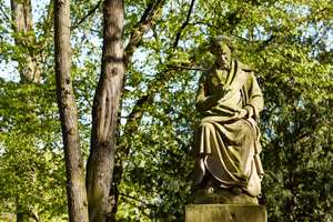 Property thumbnail 21