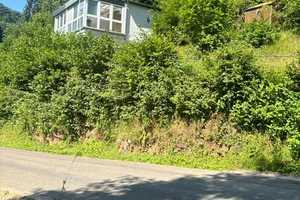Idyllisches kleines Haus in Zemmer-Daufenbach! – Trier-Saarburg (Kreis) – Vorschaubild 1