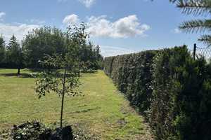 Natur und Ruhe pur -  6-Raum-Einfamilienhaus in Zidderich nahe der Mecklenburger Seenplatte – Goldberger Straße 2, 19399 Parchim (Kreis) – Vorschaubild 53