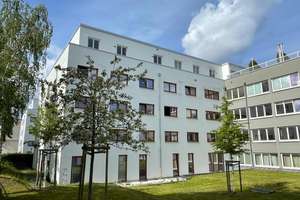 GANZ OBEN ! 1 RAUM-WOHNUNG,  MÖBLIERT, DACHGARTEN! (TG) – August-Bebel-Straße 17B, 1219 Strehlen, Dresden – Vorschaubild 15