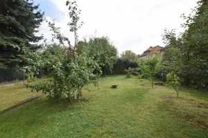 Charmante 20er-Jahre-Villa zum Modernisieren mit 7 Zimmern, schönem Garten, Keller + Garage. – Harz (Kreis) – Vorschaubild 6