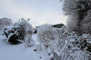 Property thumbnail 15