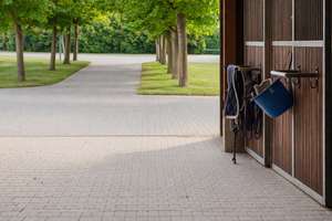 Landleben de luxe: Geschmackvoll saniertes Hofgut mit Reitanlage und Weiden soweit das Auge reicht – Die vollständige Adresse der Immobilie erhältst du vom Anbieter., 61209 Echzell – Vorschaubild 7