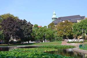 Property thumbnail 10