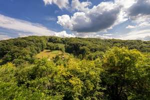 WOHNEN AM WALDHANG mit grandiosem Weitblick – Die vollständige Adresse der Immobilie erhältst du vom Anbieter., 51503 Rösrath – Vorschaubild 10