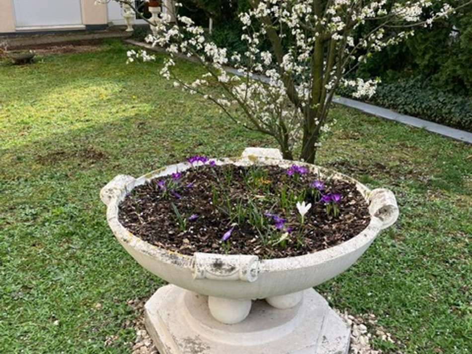 Frühling 2024