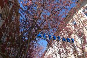 Bonn-Altstadt, schönes Appartement – Die vollständige Adresse der Immobilie erhältst du vom Anbieter., 53111 Nordstadt, Bonn – Vorschaubild 18