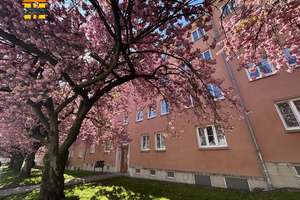 Wohnen mit Einbauküche im schönen Lutherviertel! – Lutherstraße 32, 9126 Lutherviertel, Chemnitz – Vorschaubild 3