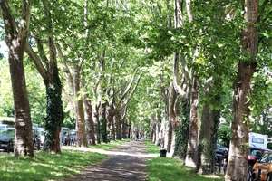 Property thumbnail 9