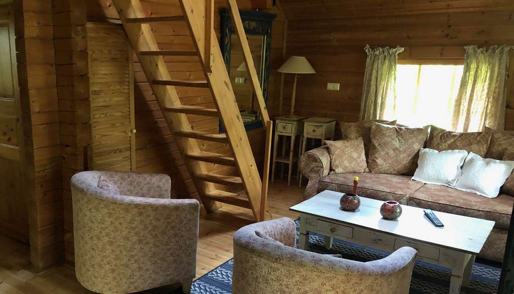 Immobilie in Drebkau - Wohnen am Wasser – Finnische Blockhäuser in idyllischer Parkanlage - Bild 3